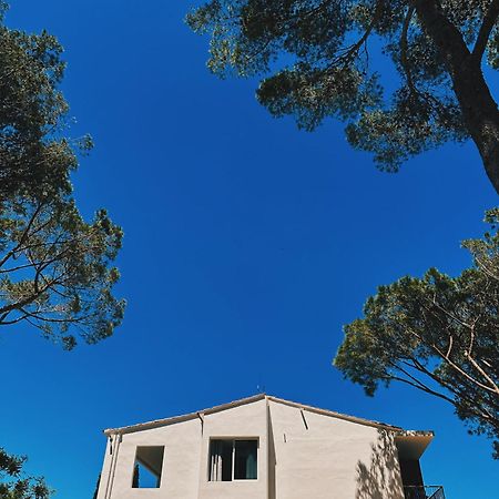 Can Romy Appartement T2F A 20M De La Plage De Cala Montgo L' Escala Exteriér fotografie