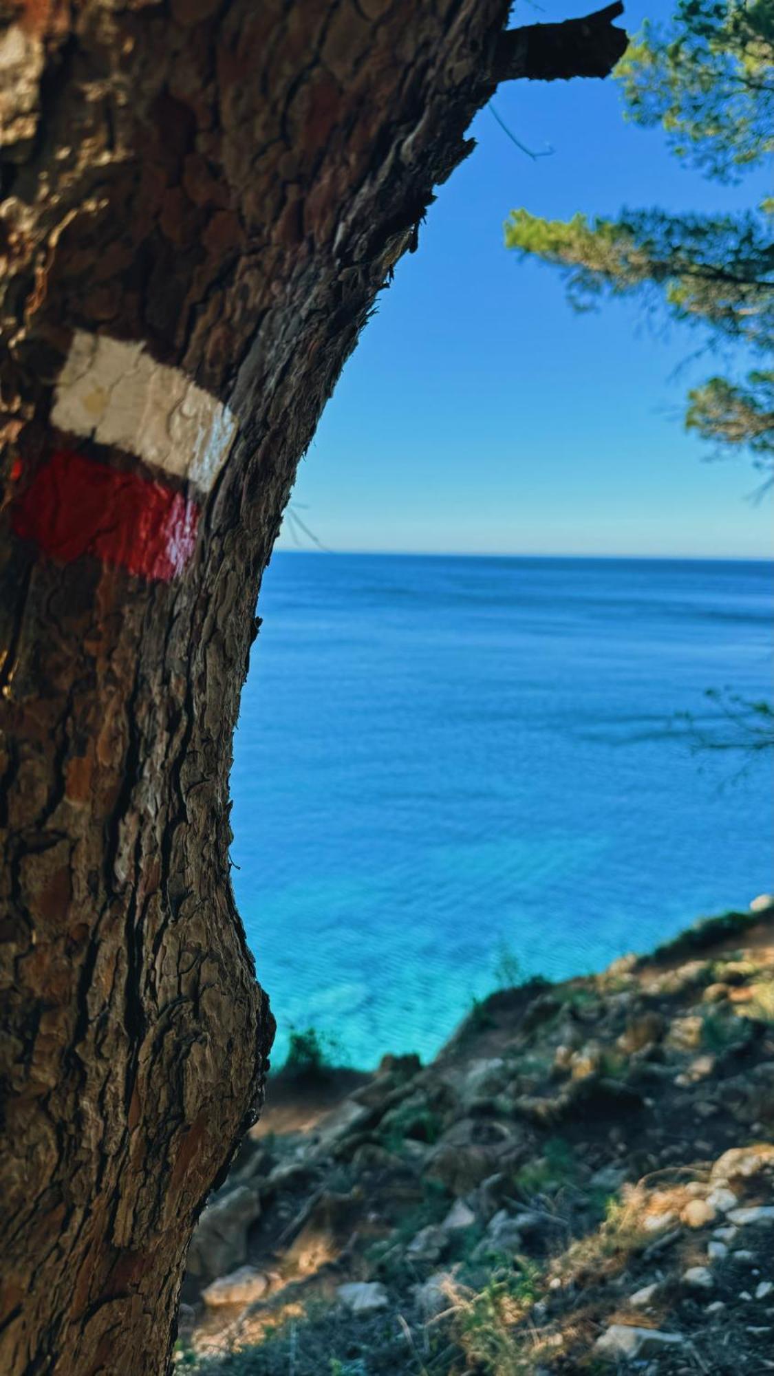 Can Romy Appartement T2F A 20M De La Plage De Cala Montgo L' Escala Exteriér fotografie